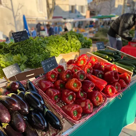 - Très Beau Climatisé à Côté Du Port Appartamento *