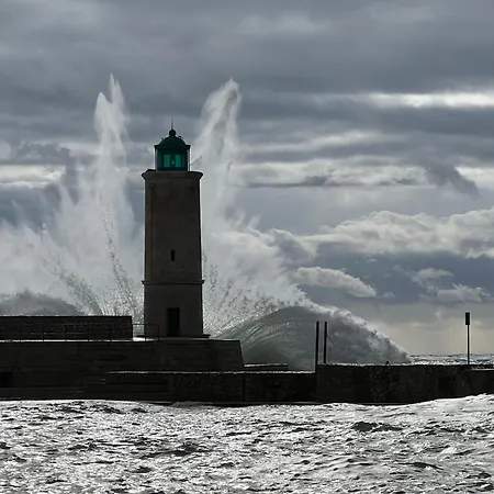- Tres Beau Climatise A Cote Du Port * 卡西斯